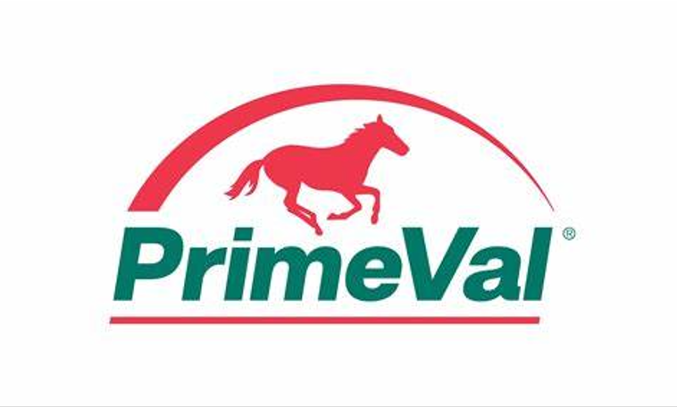 Primeval logo