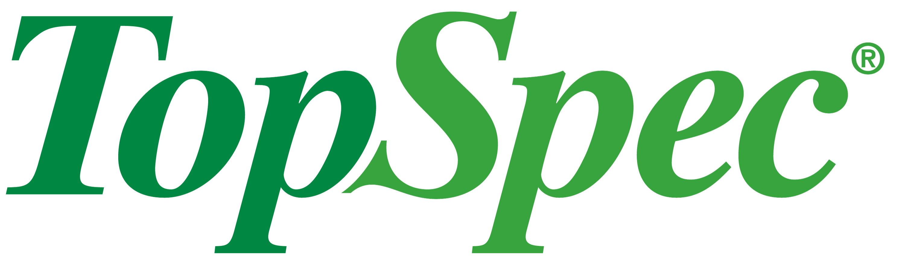 TopSpec logo