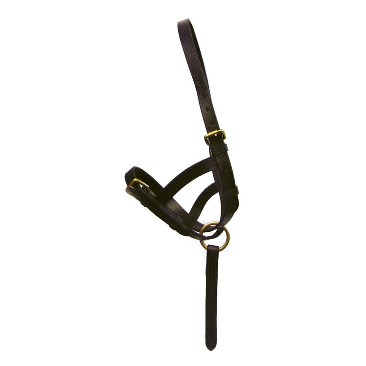 Hy Equestrian Leather Foal Slip image 1