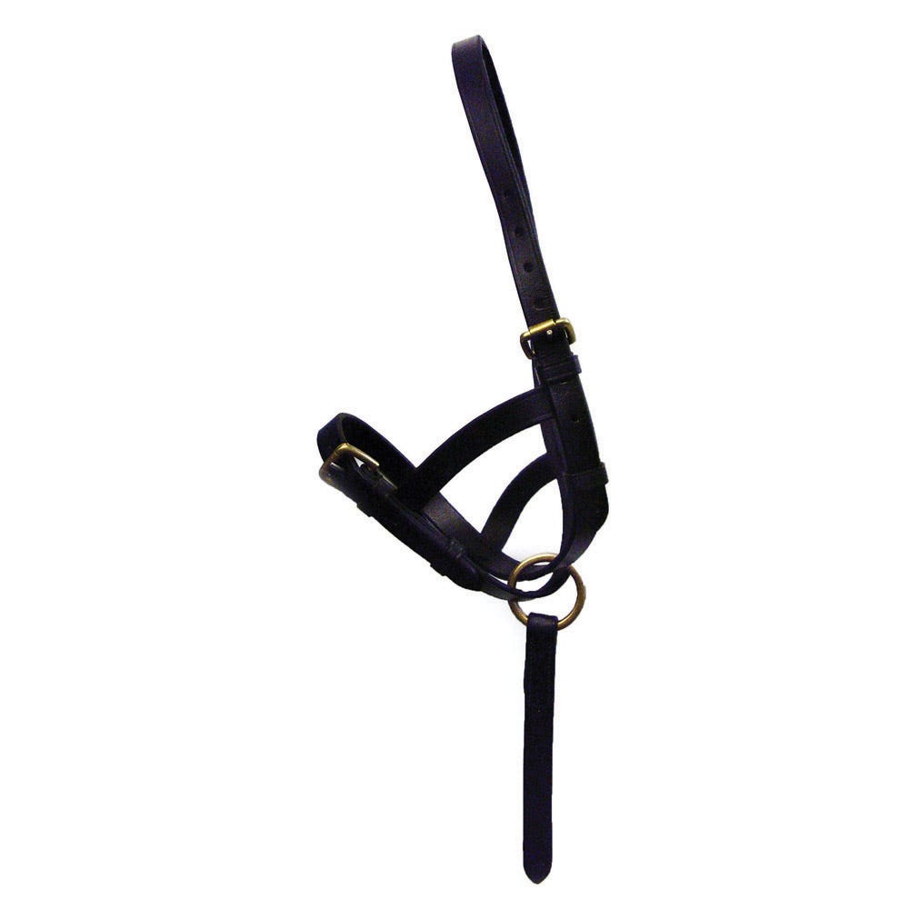 Hy Equestrian Leather Foal Slip image 3