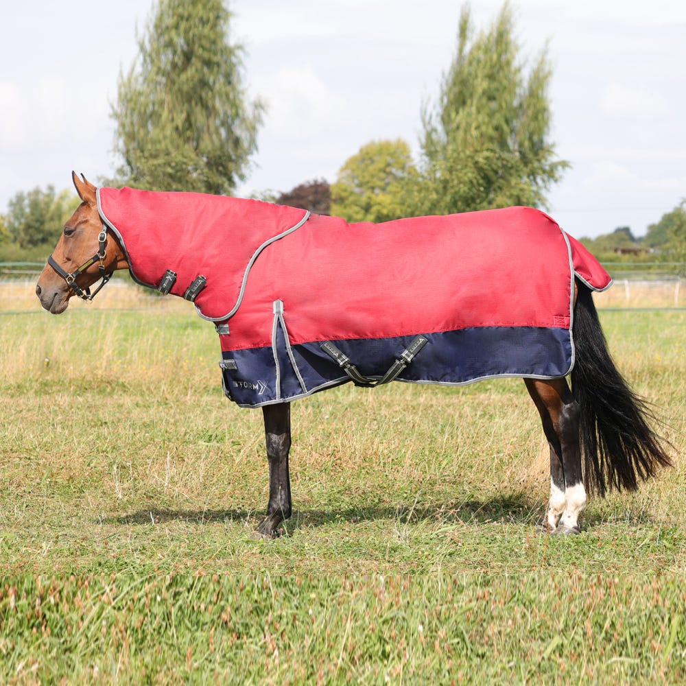 StormX Empra 200 Turnout Rug with Detachable Neck image 1