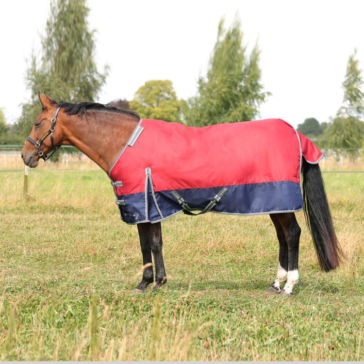 StormX Empra 200 Turnout Rug with Detachable Neck image 2