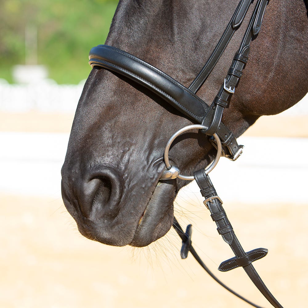 Kieffer Ultrasoft Sue Snaffle Bridle image 6