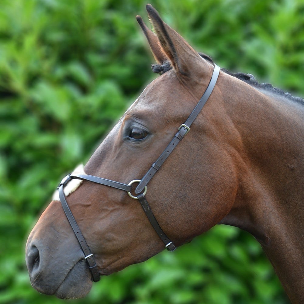 Hy Equestrian Mexican Grackle Noseband image 1