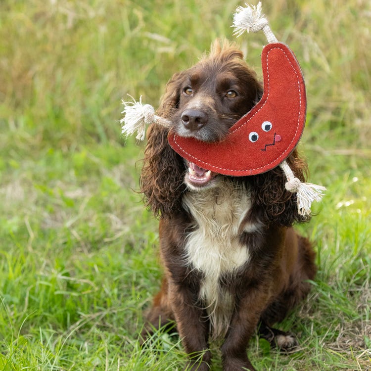 Benji &amp; Flo Crazy Faces Dog Toys - Bounce Back Boomerang image 1