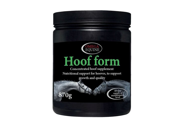 Omega Equine Hoof image 1