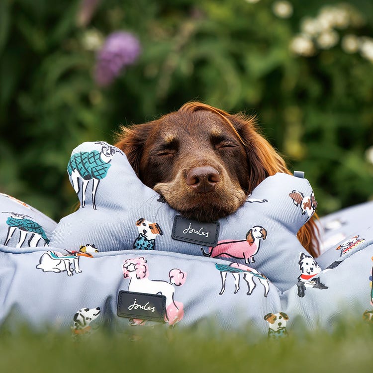 Joules Rainbow Dogs Mattress image 7