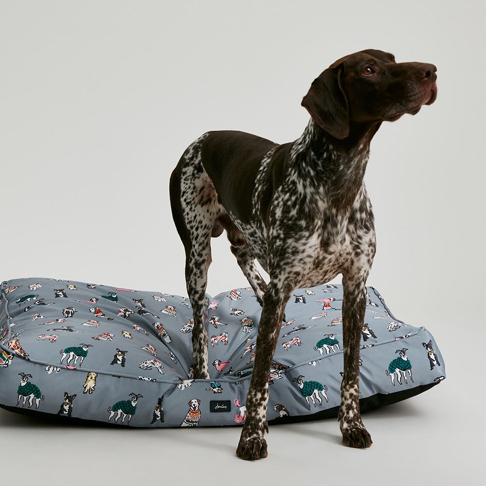 Joules Rainbow Dogs Mattress image 5