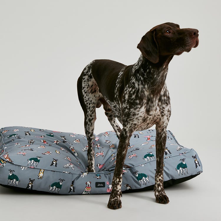 Joules Rainbow Dogs Mattress image 5