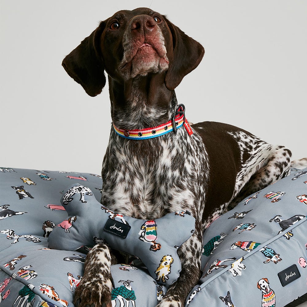 Joules Rainbow Dogs Mattress image 4