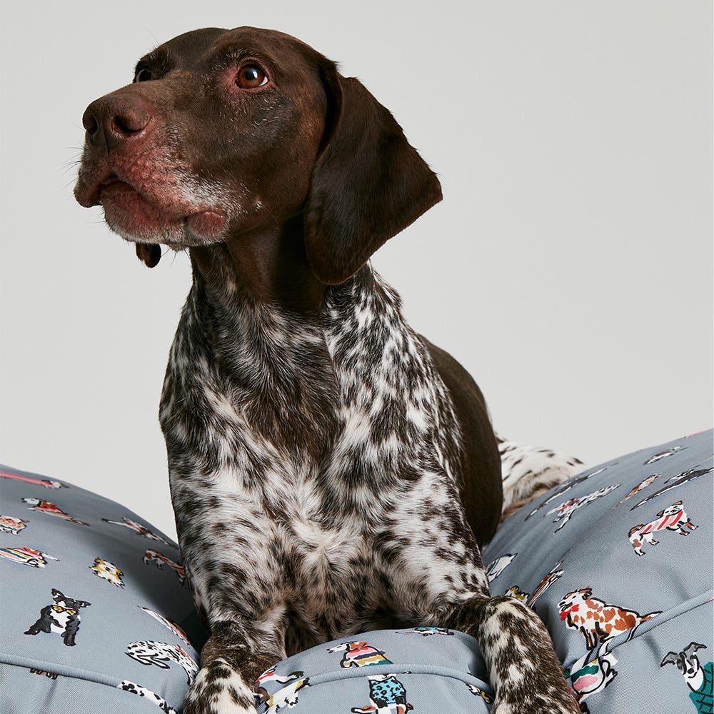 Joules Rainbow Dogs Mattress image 3