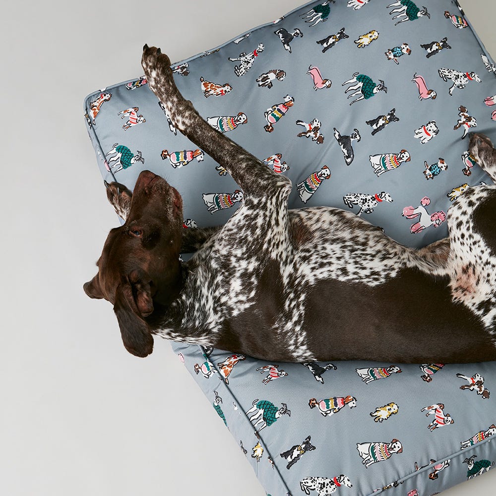 Joules Rainbow Dogs Mattress image 2