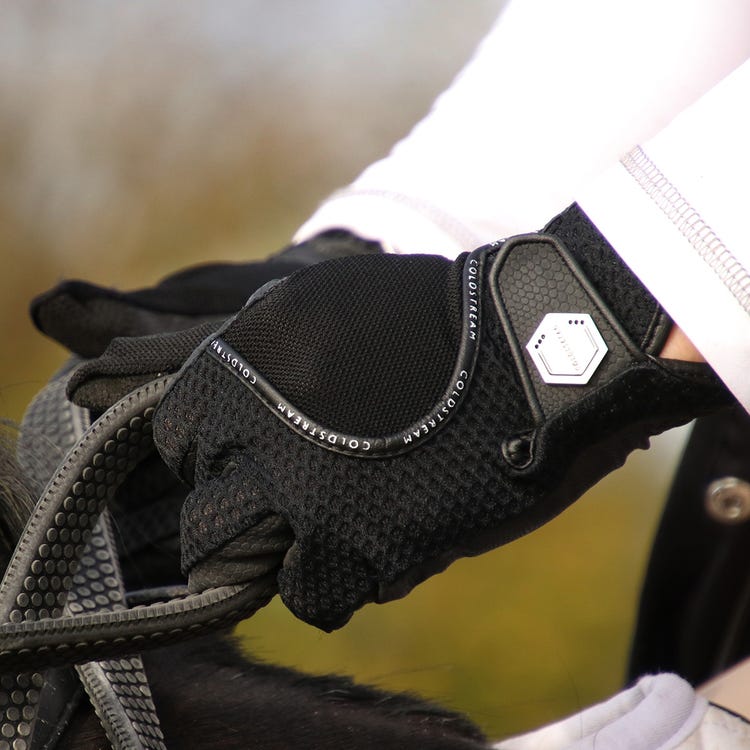 Coldstream Swinton Combi Mesh Summer Riding Gloves image 2