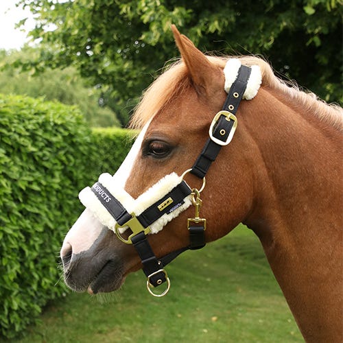 Supreme Products Royal Occasion Head Collar image 3