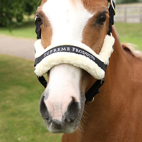 Supreme Products Royal Occasion Head Collar image 4