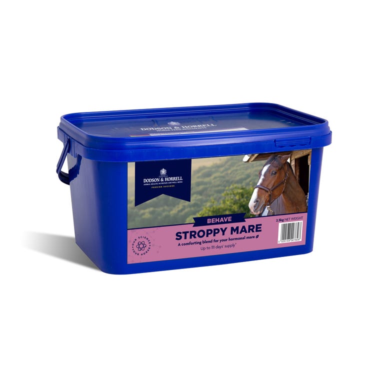 D&amp;H Stroppy Mare image 1