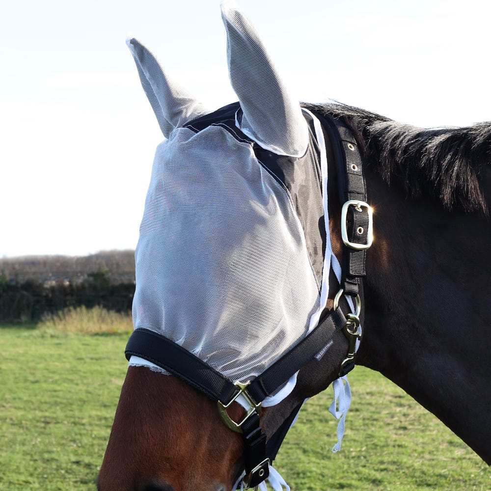 Hy Equestrian Fly Eye &amp; Ear Shield  image 1