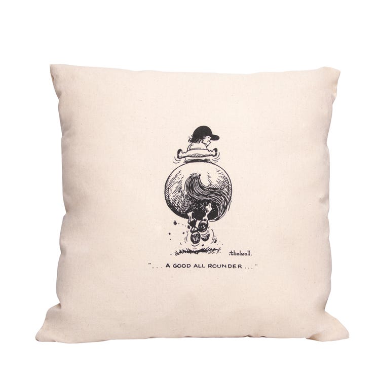 Hy Equestrian Thelwell Collection All Rounder Cushion image 1