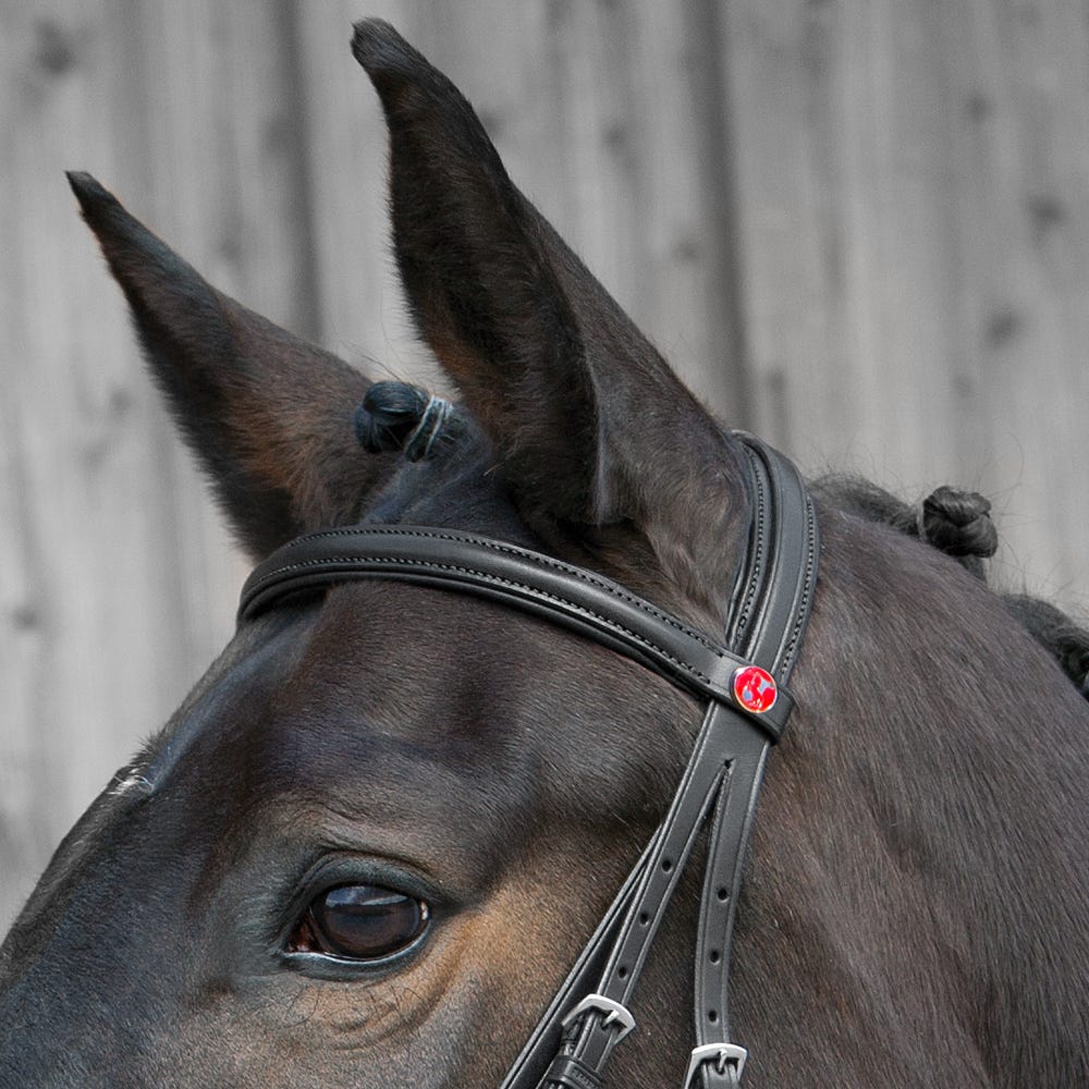 Kieffer Ergonomic Line III Snaffle Bridle image 4