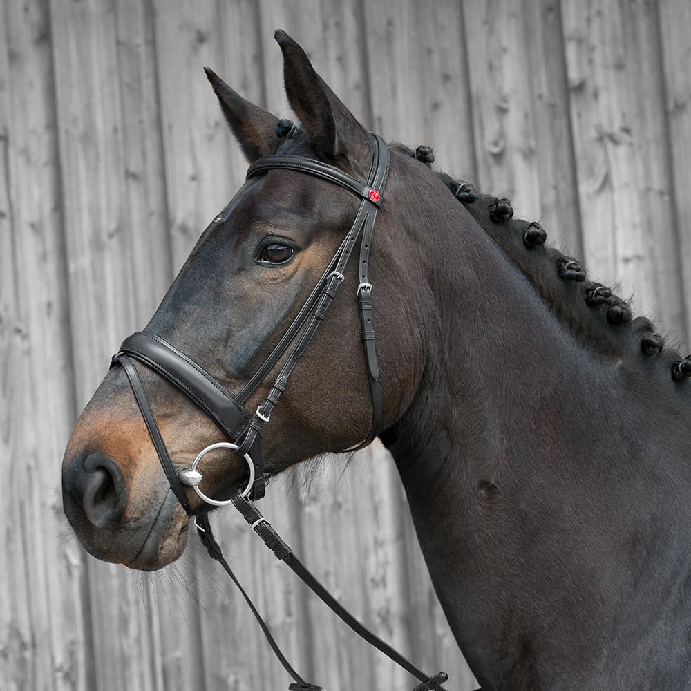 Kieffer Ergonomic Line III Snaffle Bridle image 3