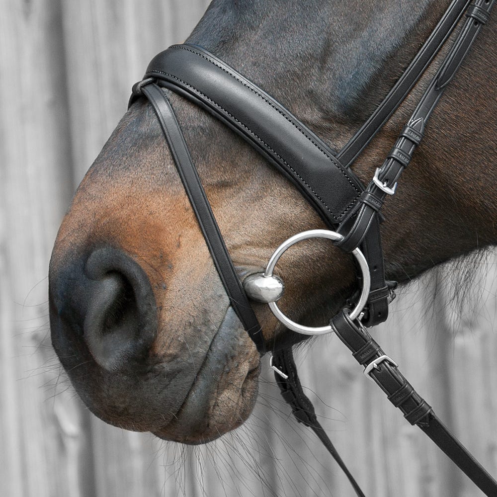 Kieffer Ergonomic Line III Snaffle Bridle image 5