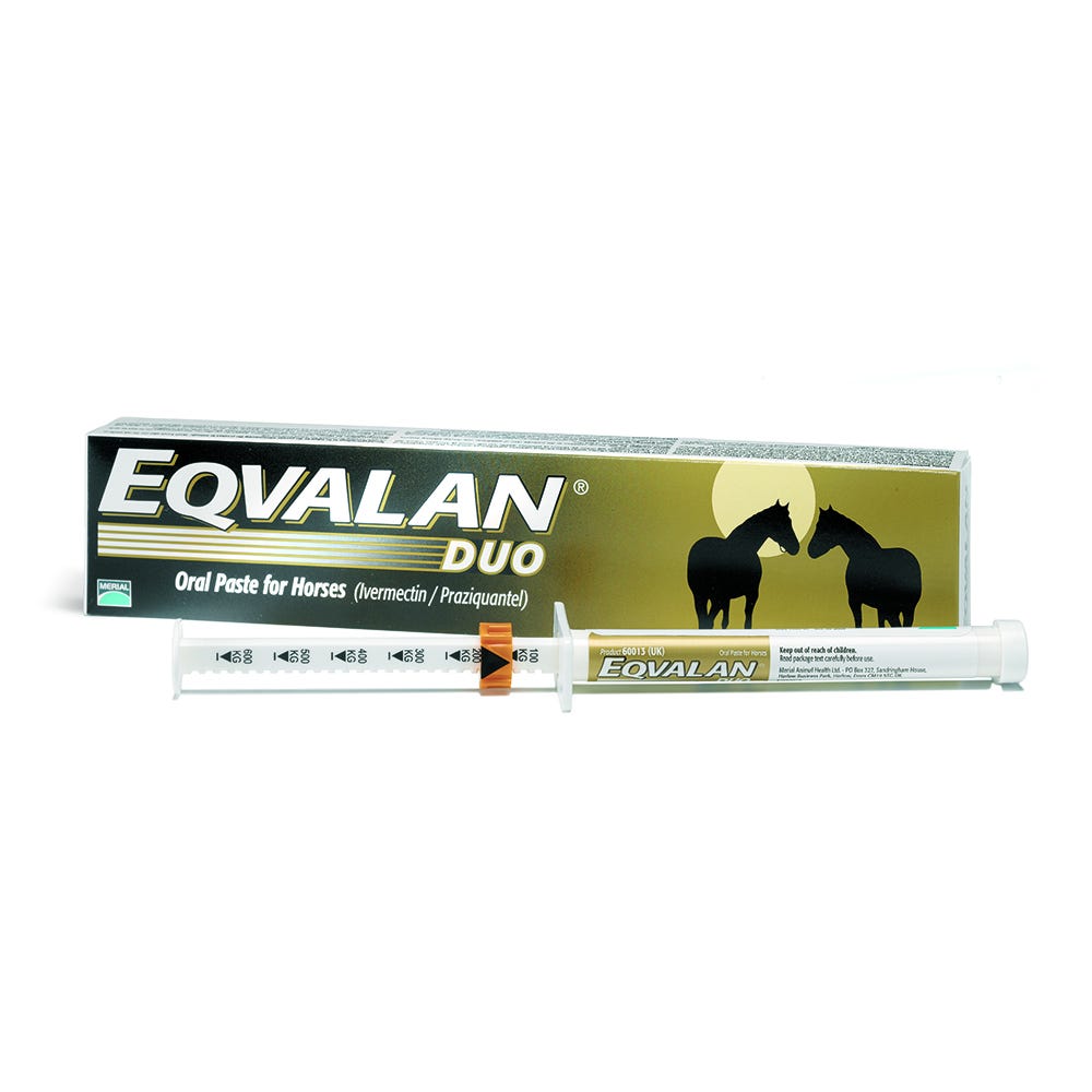 Eqvalan Duo image 1