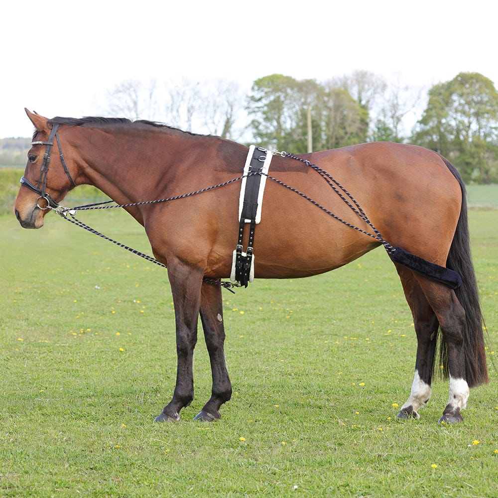 Hy Equestrian Lunging System image 1