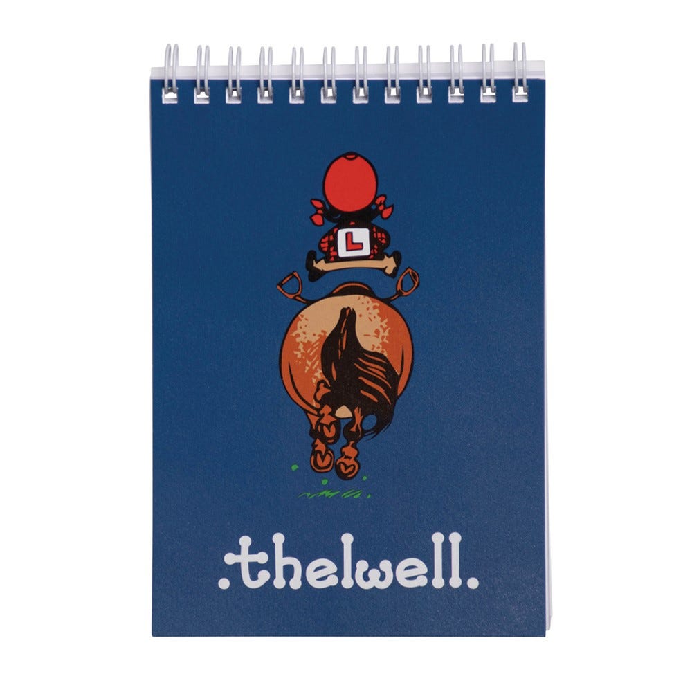 Hy Equestrian Thelwell Collection A6 Notepad image 1