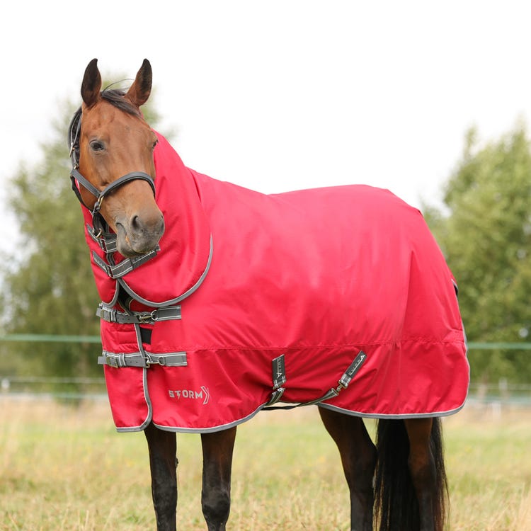 StormX Empra 300 Combi Turnout Rug image 2