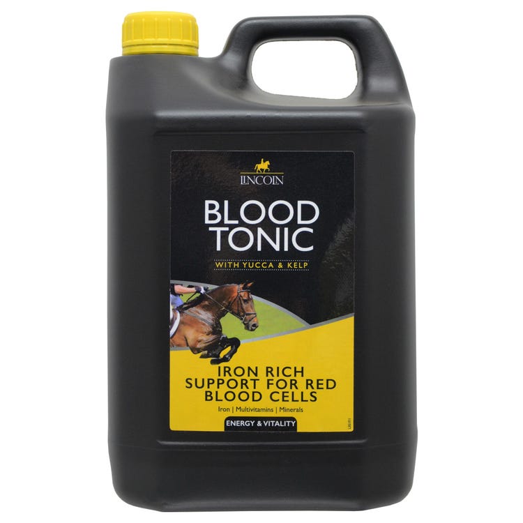 Lincoln Blood Tonic image 6