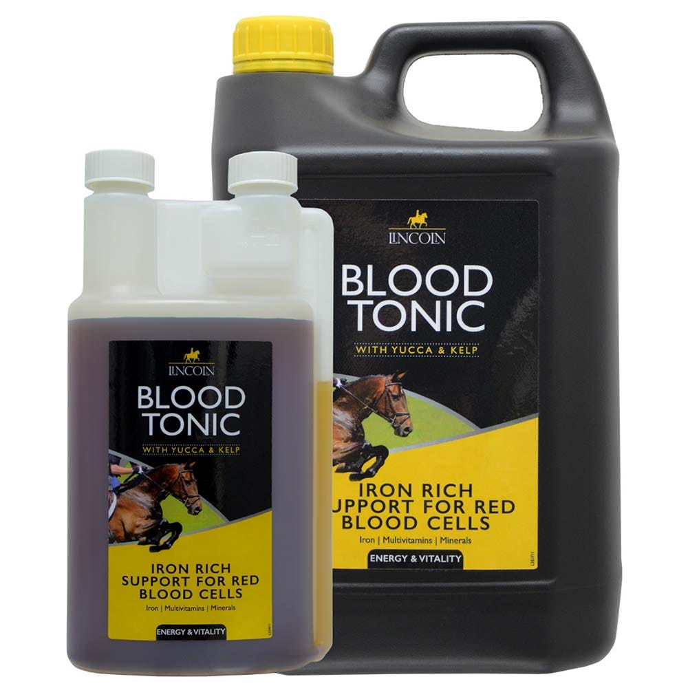 Lincoln Blood Tonic image 3