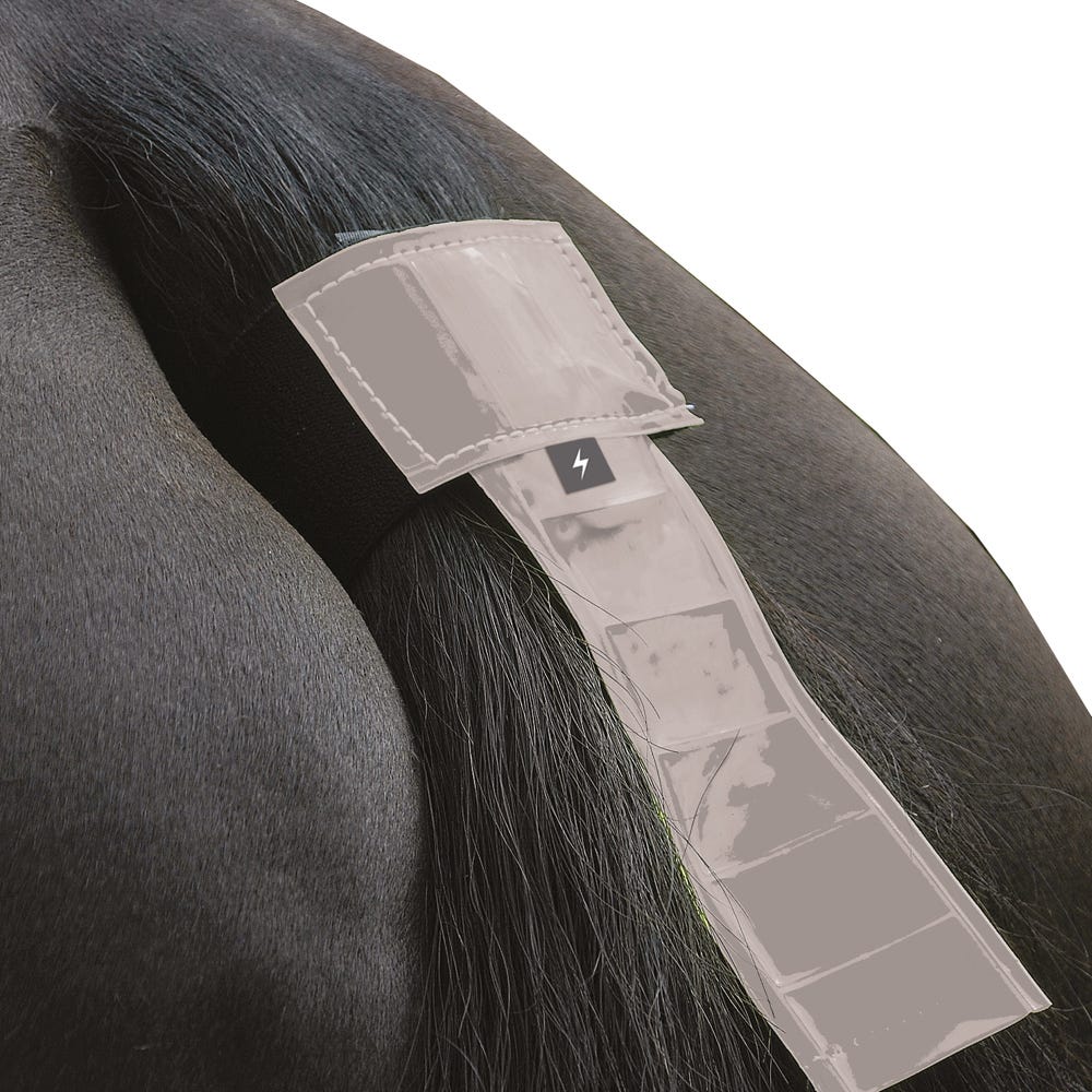 Silva Flash Reflective Tail Band by Hy Equestrian image 1