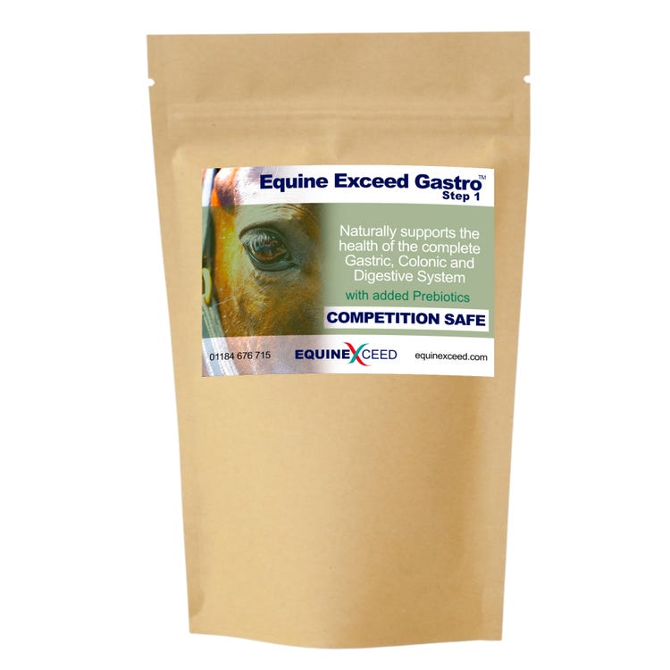 Equine Exceed Gastro - Step 1 image 2