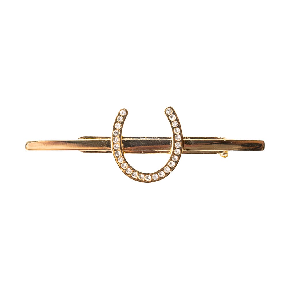 Supreme Products Glitz &amp; Glam Horse Shoe Tie Pin image 1