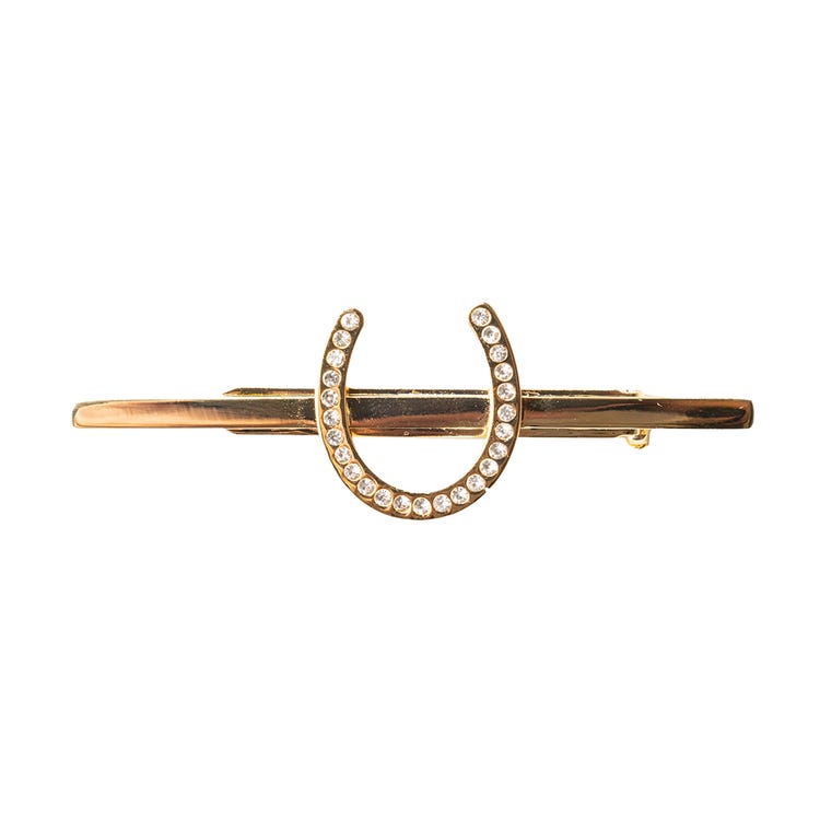 Supreme Products Glitz &amp; Glam Horse Shoe Tie Pin image 1
