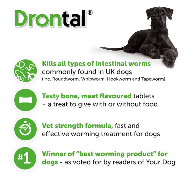 Drontal Dog Tasty Bone  image 5