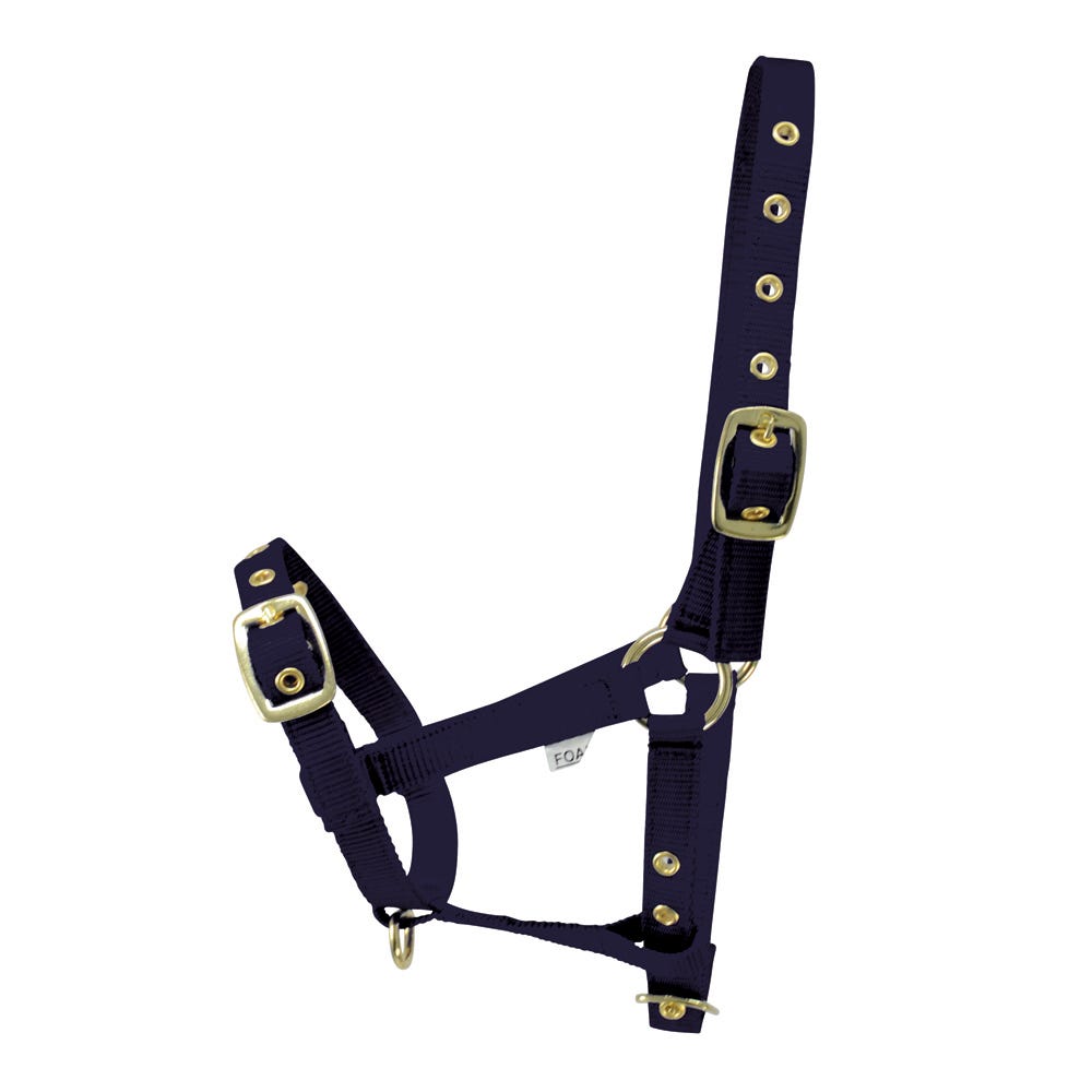 Hy Equestrian Foal Head Collar image 2