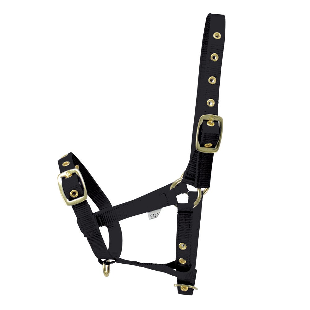 Hy Equestrian Foal Head Collar image 3