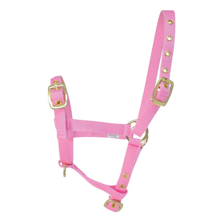 Hy Equestrian Foal Head Collar image 4