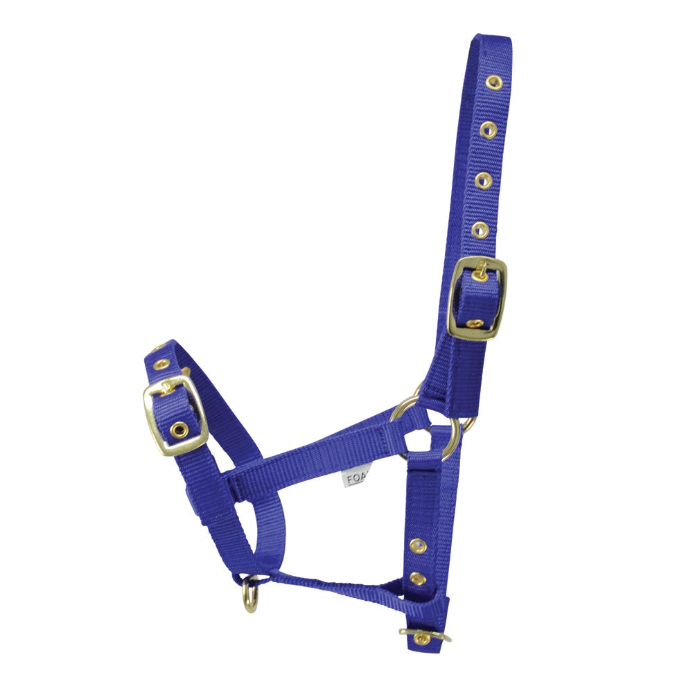 Hy Equestrian Foal Head Collar image 5