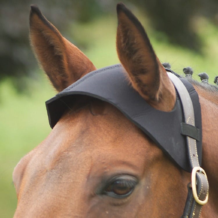 Hy Equestrian Poll Guard image 1