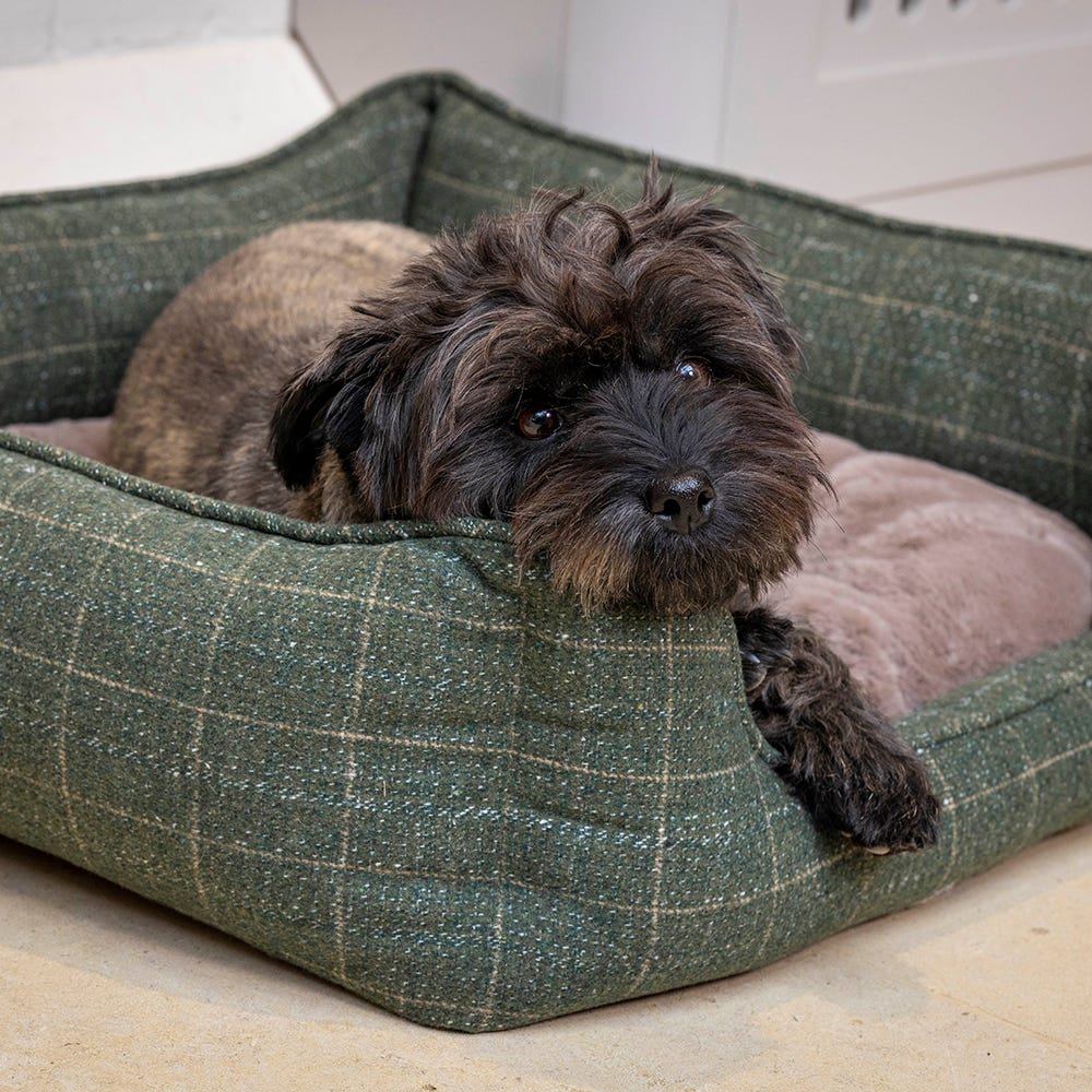 House of Paws Moss Tweed Rectangle Bed image 1