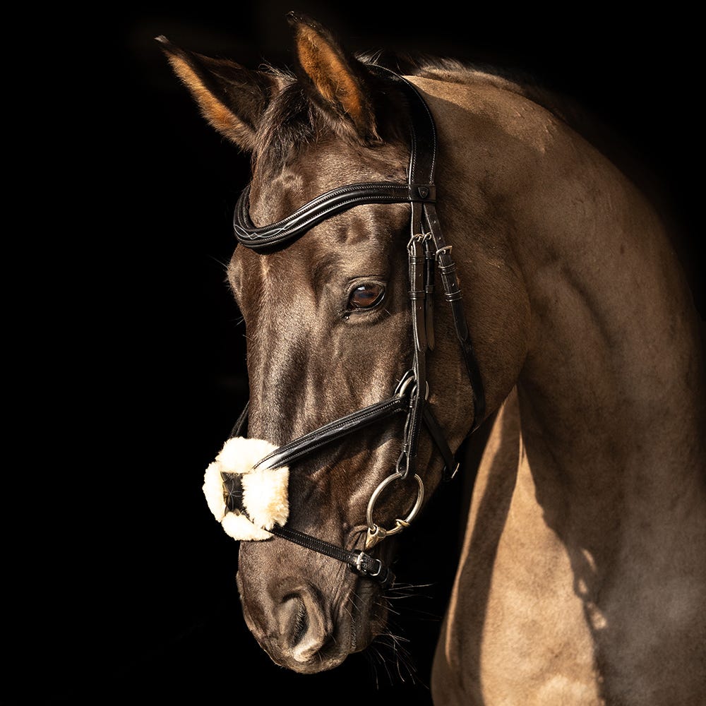 ProPresicce Pelle Grackle Leather Bridle by Hy Equestrian image 4
