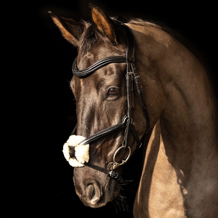 ProPresicce Pelle Grackle Leather Bridle by Hy Equestrian image 4