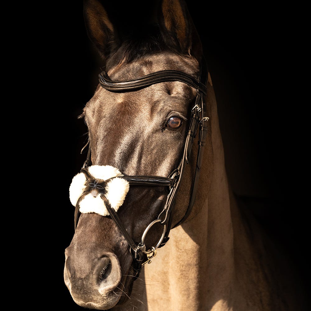 ProPresicce Pelle Grackle Leather Bridle by Hy Equestrian image 5