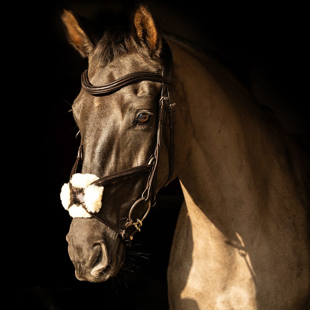 ProPresicce Pelle Grackle Leather Bridle by Hy Equestrian image 6