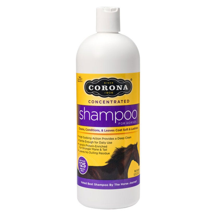 Corona Concentrated Shampoo image 1