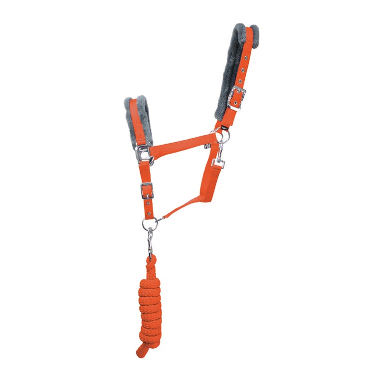 Hy Sport Active Head Collar &amp; Lead Rope image 9