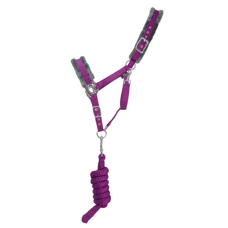 Hy Sport Active Head Collar &amp; Lead Rope image 13