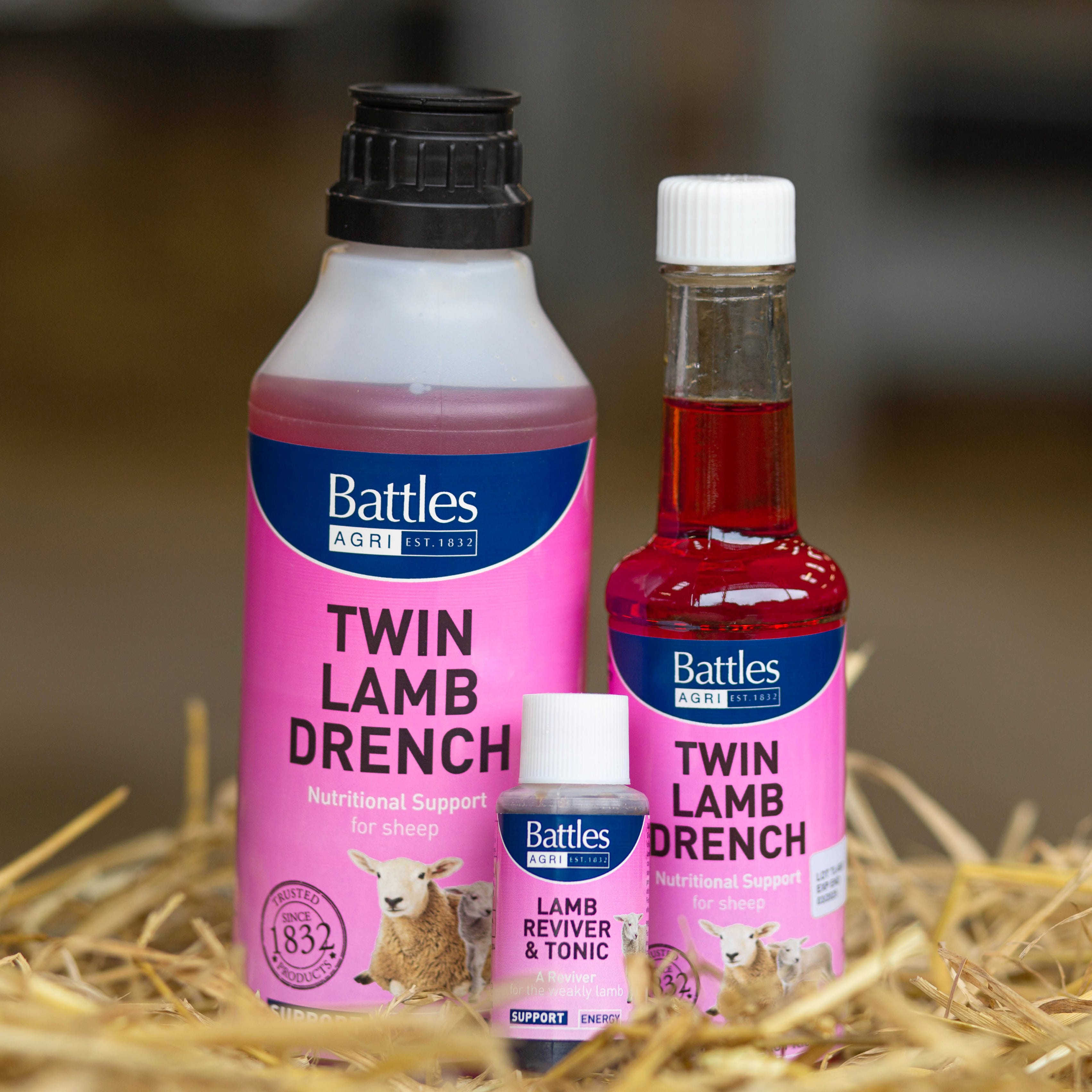 Battles Twin Lamb Drench image 7